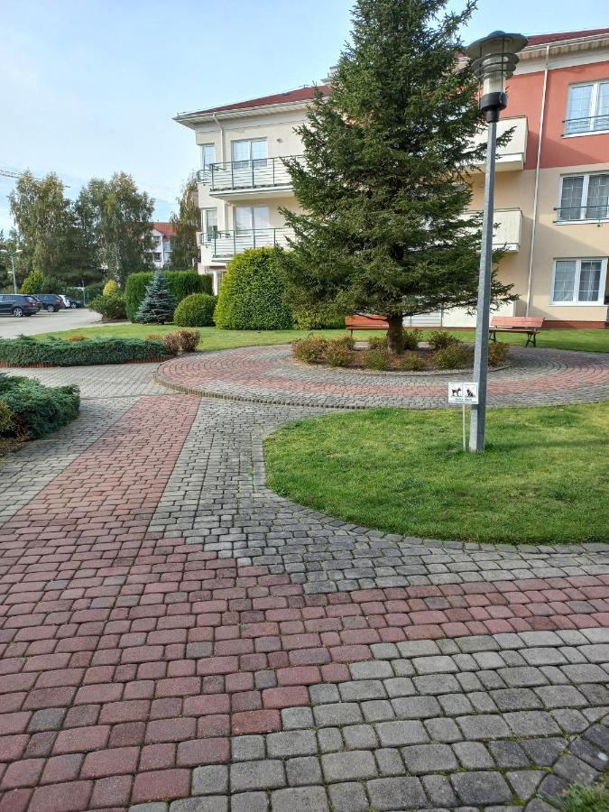 Sloneczny Baltyk-grzybowo *